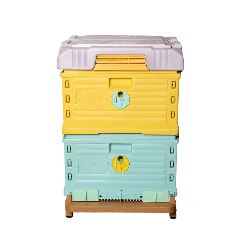 Plastic 10-Frame Beehive