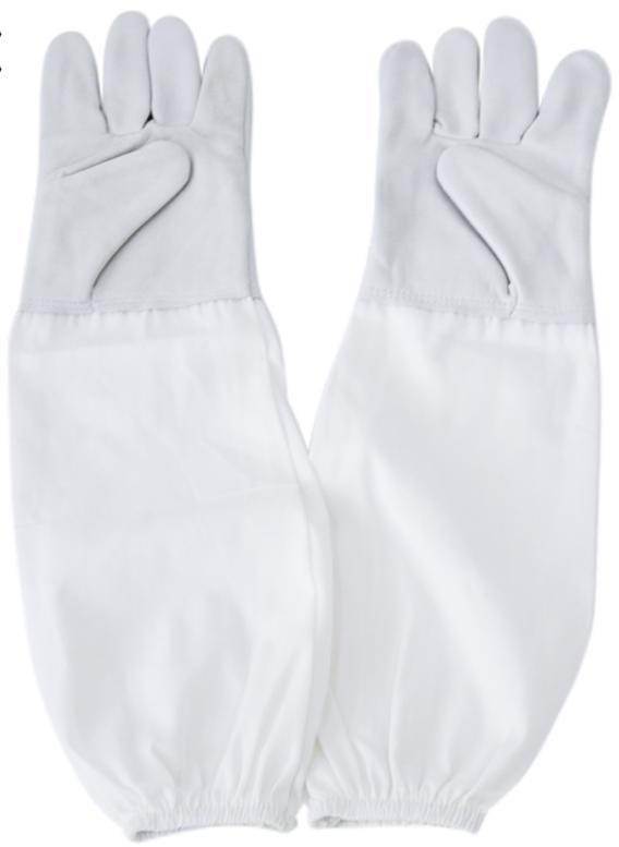 Gloves 1