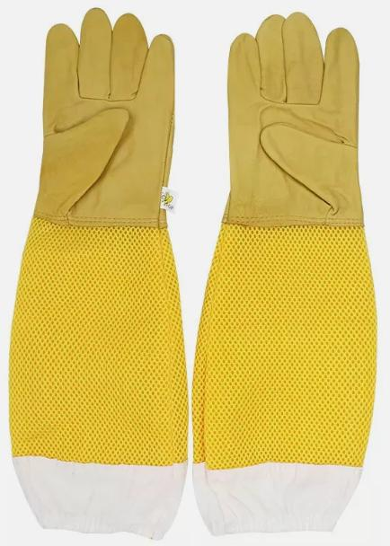 Gloves 6