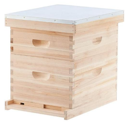 Langstroth 10-Frame Beehive