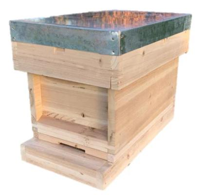 British National Wooden Nuc Hive
