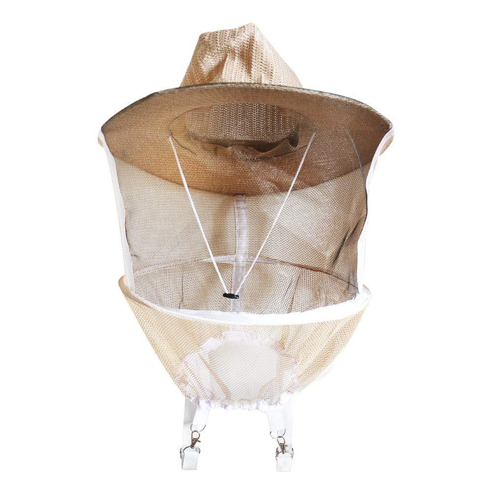 Veil 1